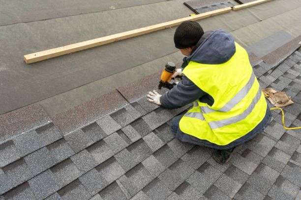 Best Roof Gutter Cleaning  in Emmett, ID